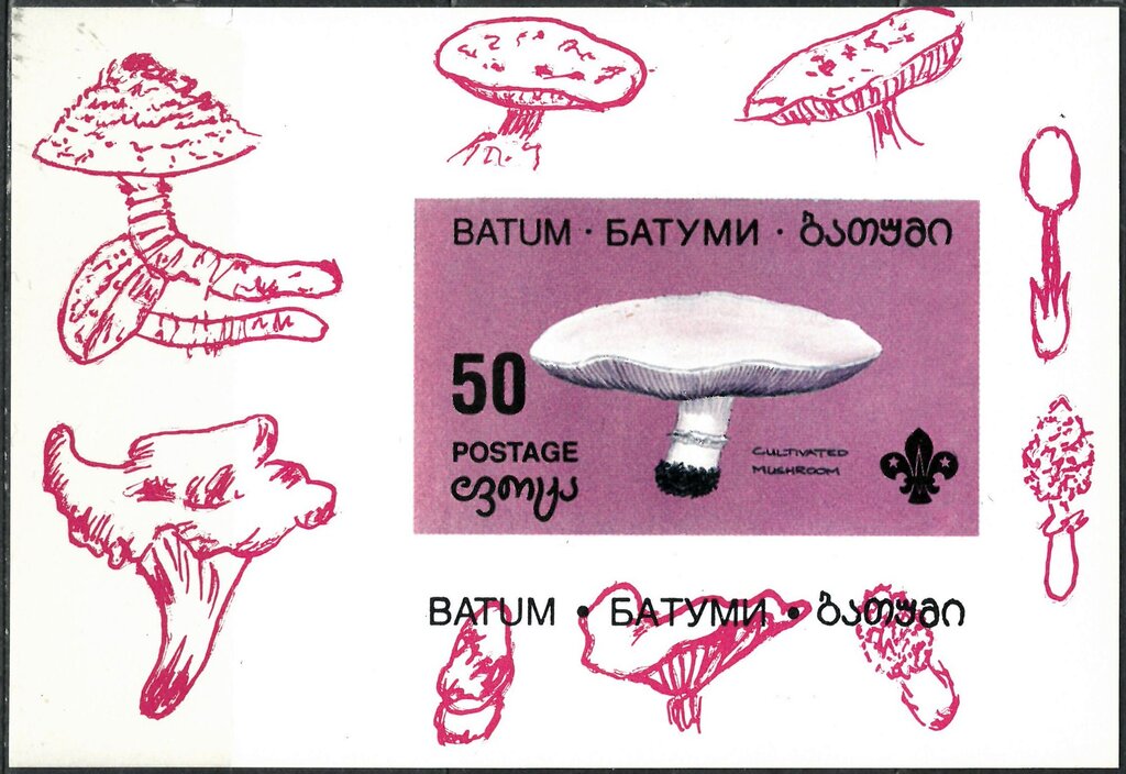 Mushroom
