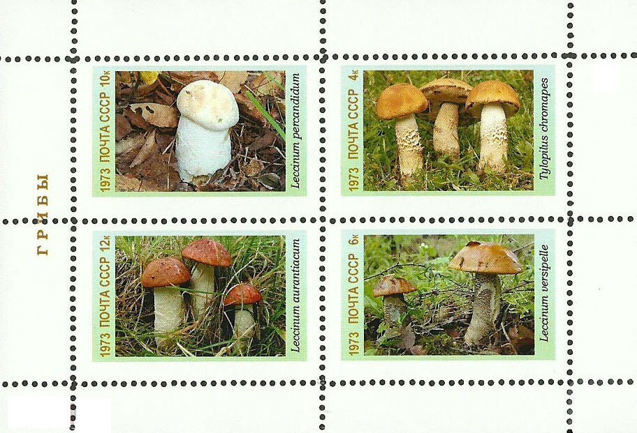 Mushrooms