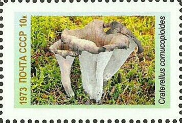 Mushrooms