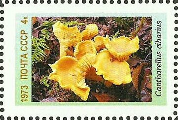 Stamp, Mushrooms, Cinderellas,  , Mushrooms, Plants (Flora)