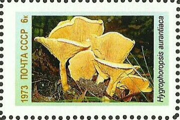 Stamp, Mushrooms, Cinderellas,  , Mushrooms, Plants (Flora)