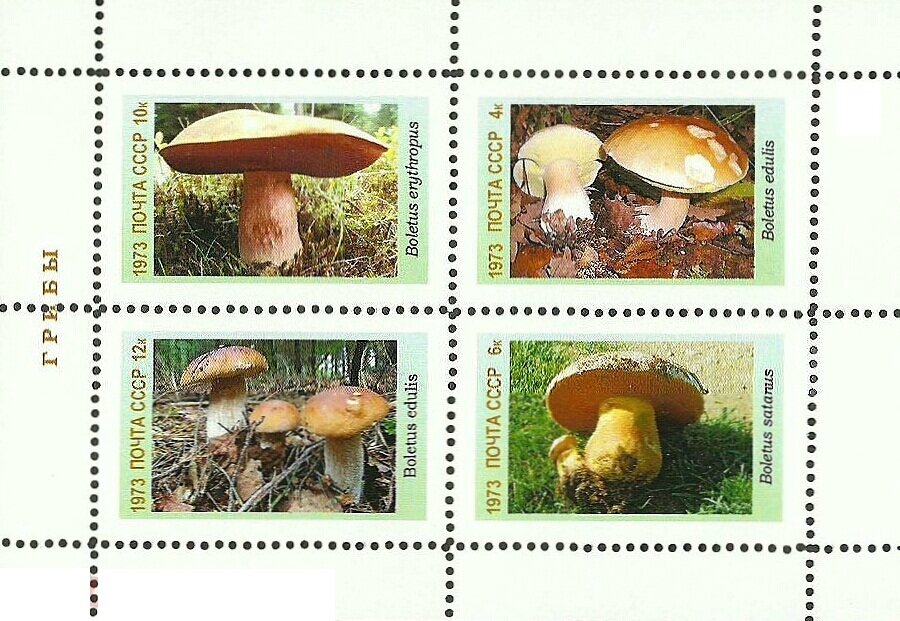 Mushrooms