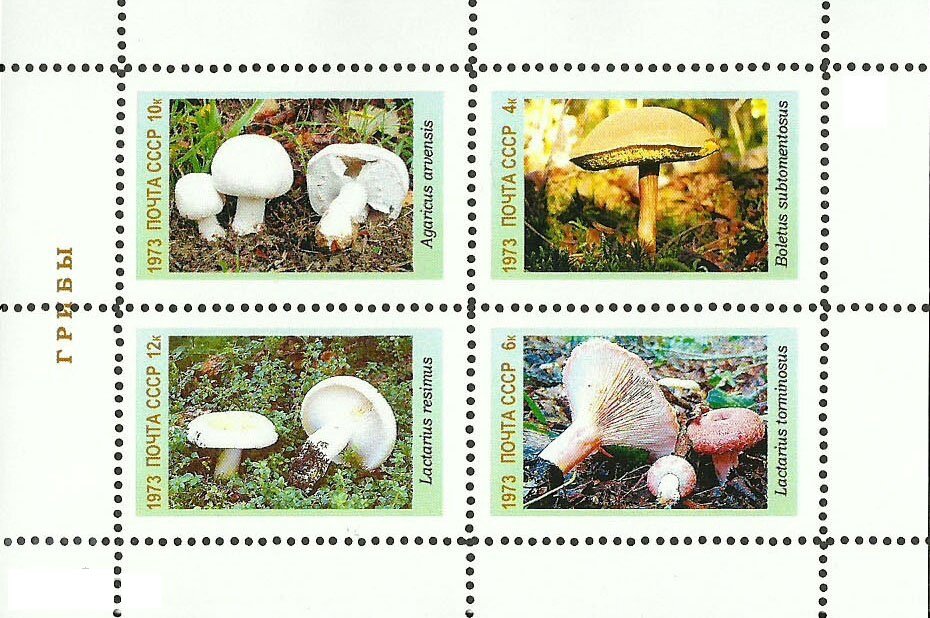 Mushrooms