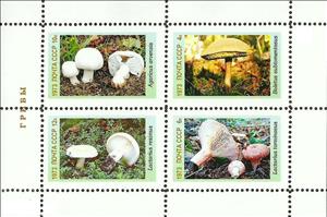 Mini Sheet, Mushrooms, Cinderellas,  , Mushrooms, Plants (Flora)