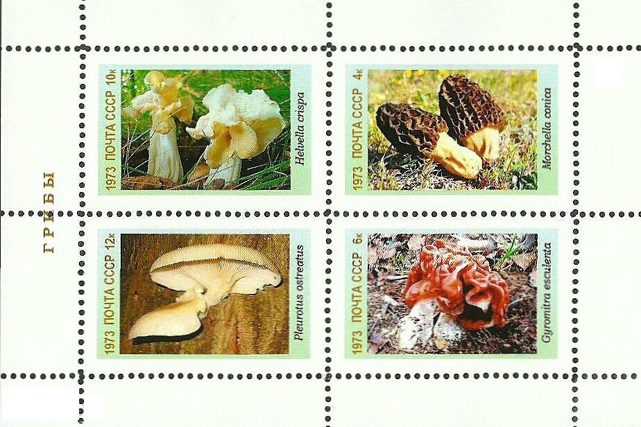 Mushrooms