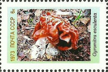 Stamp, Mushrooms, Cinderellas,  , Mushrooms, Plants (Flora)