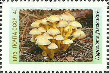 Mushrooms