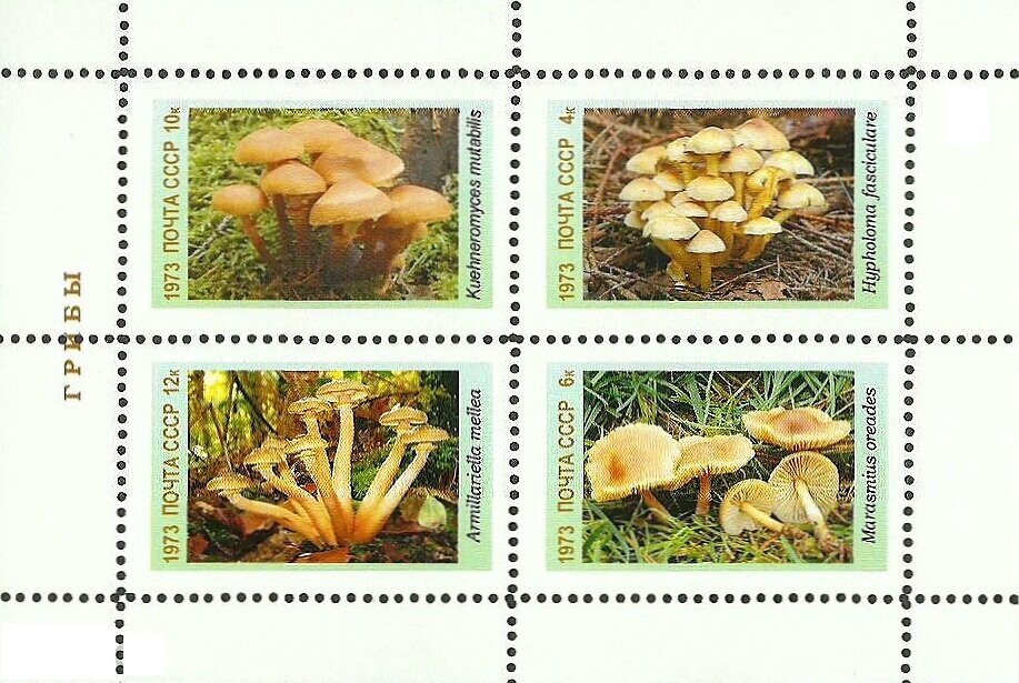 Mushrooms
