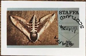 Stamp, Privet Hawk Moth, Cinderellas,  , Animals (Fauna), Butterflies, Insects