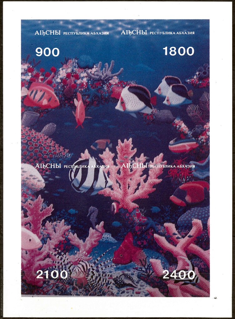 Sea Life