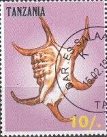 Stamp, Sea Shells, Cinderellas,  , Molluscs, Sea Life, Shells