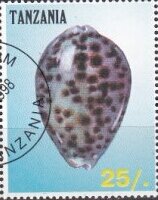 Stamp, Sea Shells, Cinderellas,  , Molluscs, Sea Life, Shells