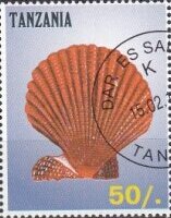 Sea Shells