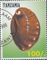 Stamp, Sea Shells, Cinderellas,  , Molluscs, Sea Life, Shells