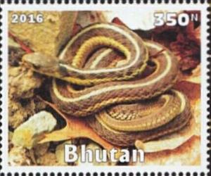 Stamp, Snakes, Cinderellas,  , Animals (Fauna), Snakes