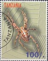 Spiders
