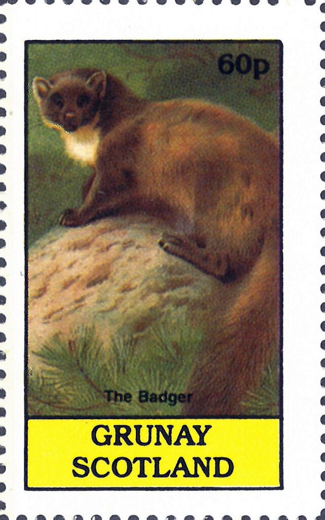 The Badger