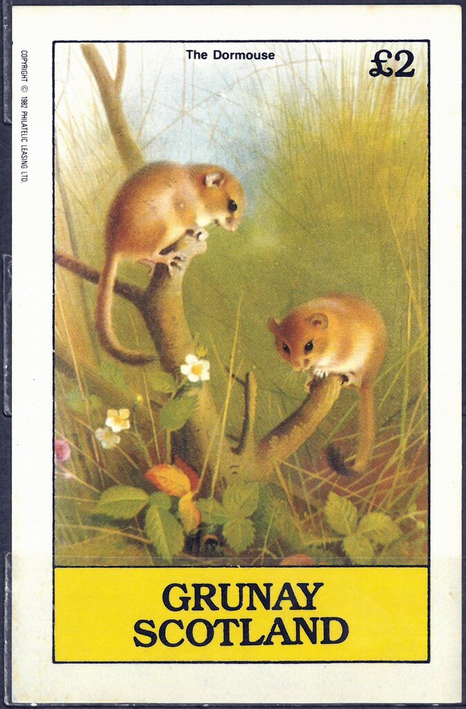 The Dormouse