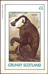 Souvenir Sheet, The Drill, Cinderellas,  , Animals (Fauna), Mammals