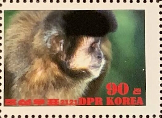 Tufted capuchin