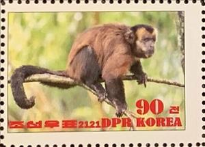 Stamp, Tufted capuchin, Cinderellas,  , Animals (Fauna), Monkeys