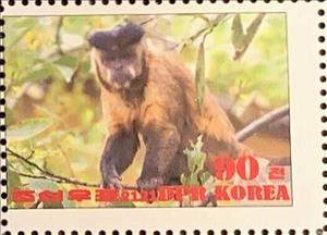 Stamp, Tufted capuchin, Cinderellas,  , Animals (Fauna), Monkeys