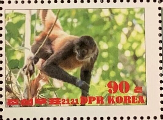 Tufted capuchin