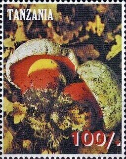 Various Mushrooms