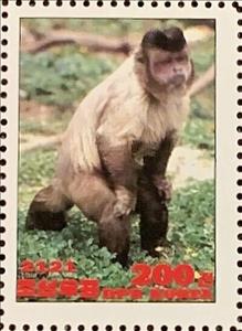 Stamp, Werge-capped capuchin, Cinderellas,  , Animals (Fauna), Monkeys