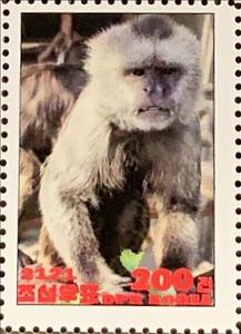 Stamp, Werge-capped capuchin, Cinderellas,  , Animals (Fauna), Monkeys