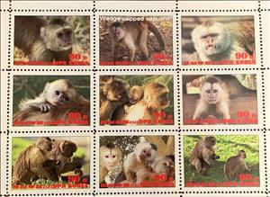 Mini Sheet, Werge-capped capuchin, Cinderellas,  , Animals (Fauna), Monkeys