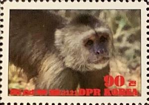 Stamp, Werge-capped capuchin, Cinderellas,  , Animals (Fauna), Monkeys
