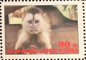 Stamp, Werge-capped capuchin, Cinderellas,  , Animals (Fauna), Monkeys