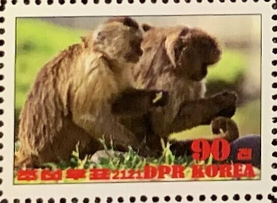 Werge-capped capuchin