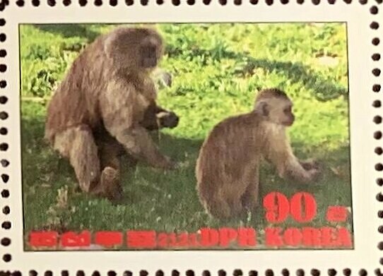 Werge-capped capuchin
