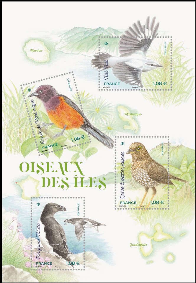 Island Birds