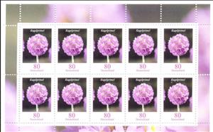 Mini Sheet, Drumstick Primrose (Primula denticulata), Germany, Federal Republic,  , Flowers, Plants (Flora)