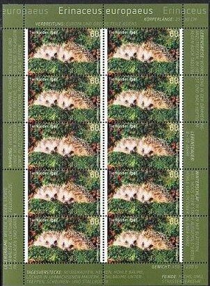 Northern Hedgehog (Erinaceus europaeus)