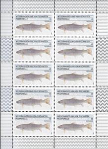 Mini Sheet, Sea Trout (Salmo trutta trutta), Germany, Federal Republic,  , Animals (Fauna), Fishes