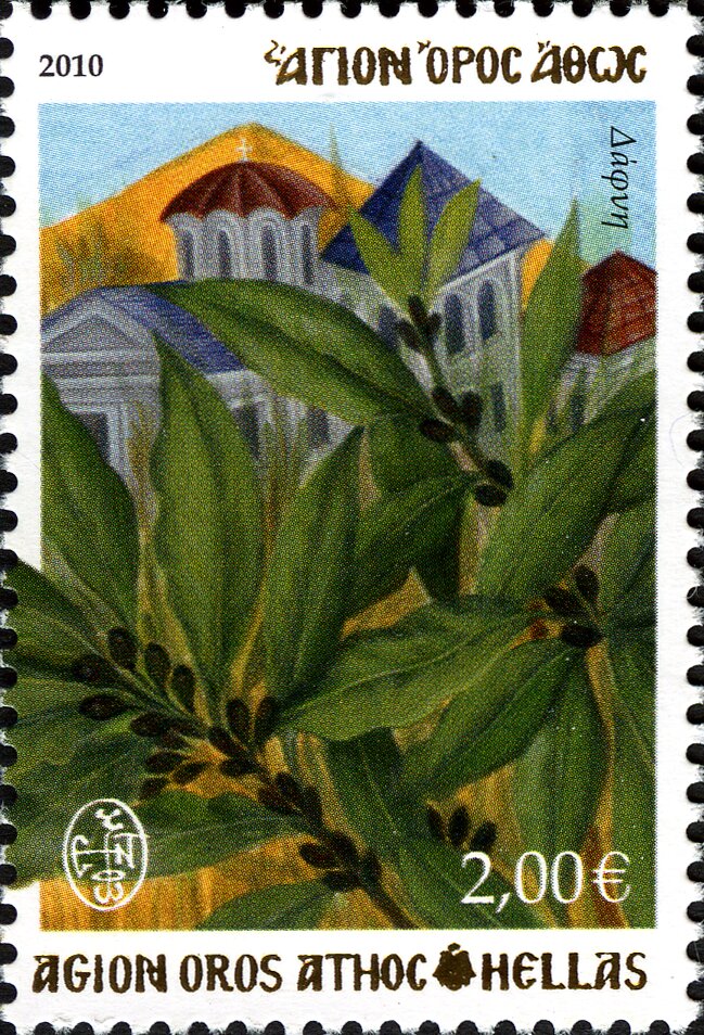Bay Laurel, Grecian laurel (Bay leaves)