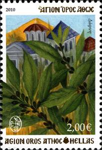 Stamp, Bay Laurel, Grecian laurel (Bay leaves), Greece, Mount Athos,  , Plants (Flora)