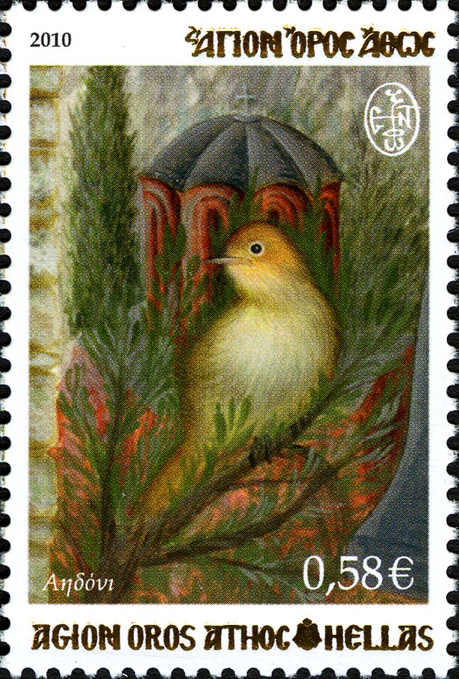 Common Nightingale (Luscinia megarhynchos)