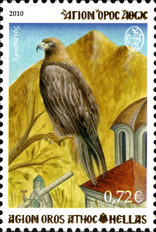 Golden Eagle (Aquila chrysaetos)
