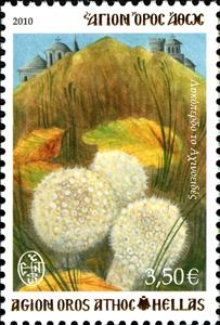 Stamp, Spiny Puffball (Lycoperdon echinatum), Greece, Mount Athos,  , Mushrooms, Plants (Flora)