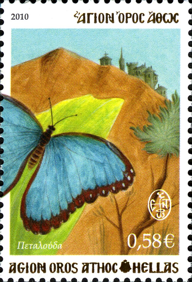 Two-tailed Pasha (Charaxes jasius)