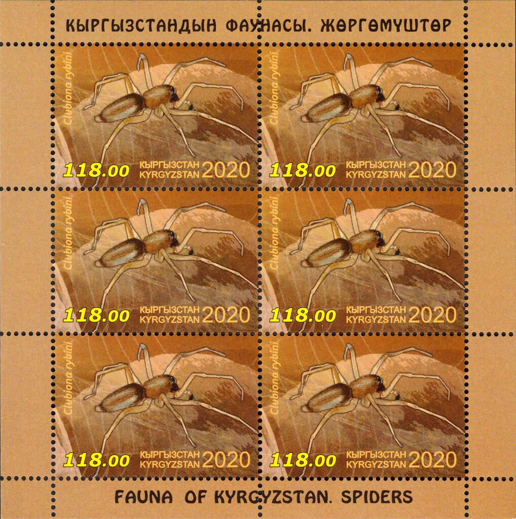 Clubiona rybini