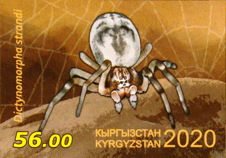 Dictynomorpha strandi