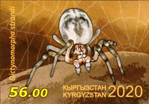 Stamp, Dictynomorpha strandi, Kyrgyzstan,  , Animals (Fauna), Spiders