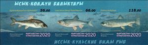 Souvenir Sheet, Fish of Lake Issyk-Kul, Kyrgyzstan,  , Animals (Fauna), Fishes