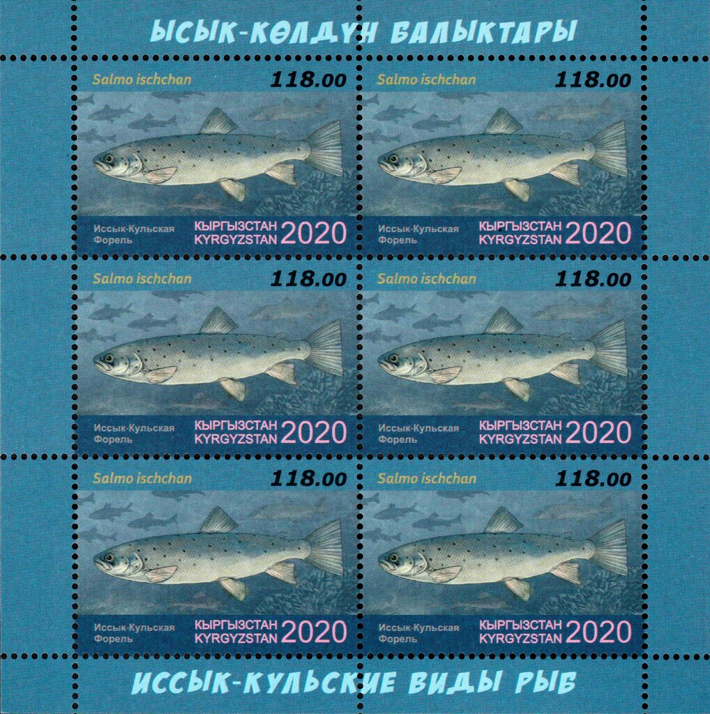 Sevan Trout (Salmo ischchan)